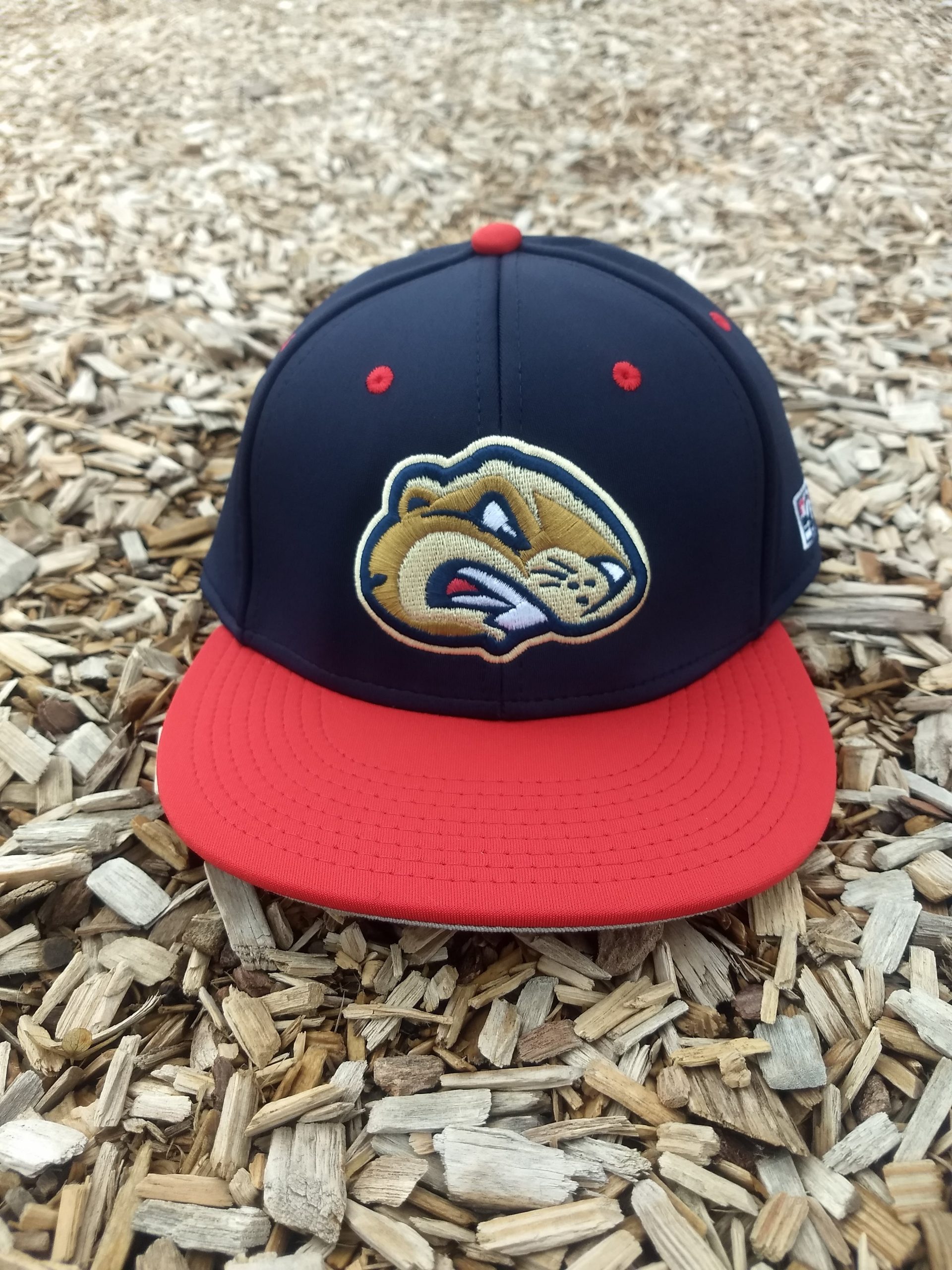 d1e9ed74 f3a2 49af b45d 269421345770 1 all 742