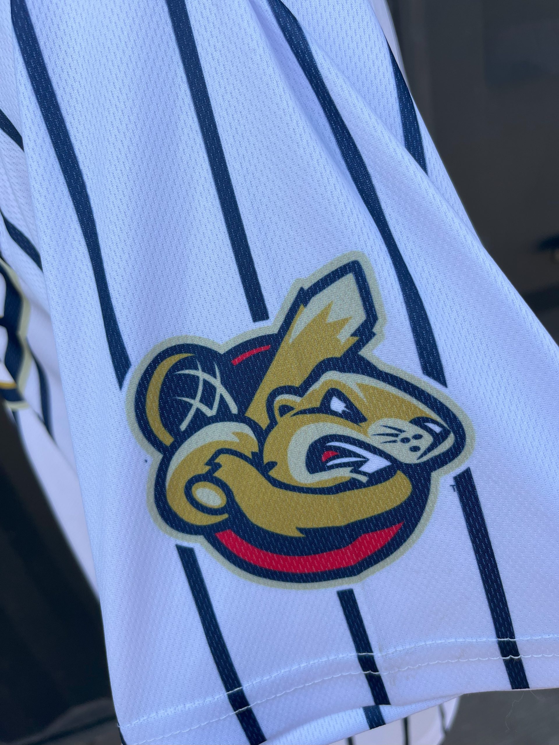 Birmingham Bloomfield Beavers white and navy pinstripe jersey closeup of batting beaver mascot logo on sleeve