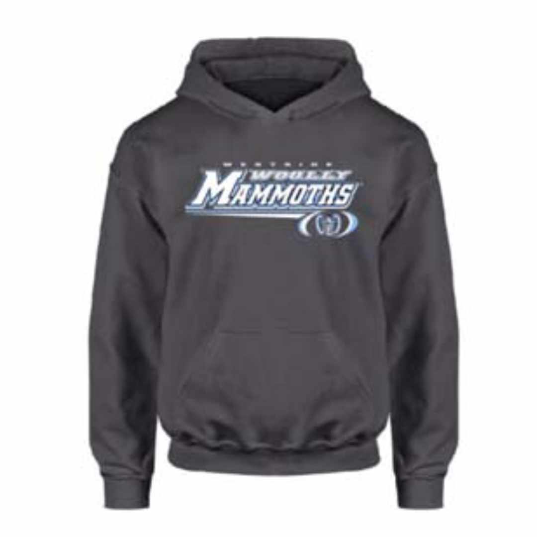WM youthhoodie 1080