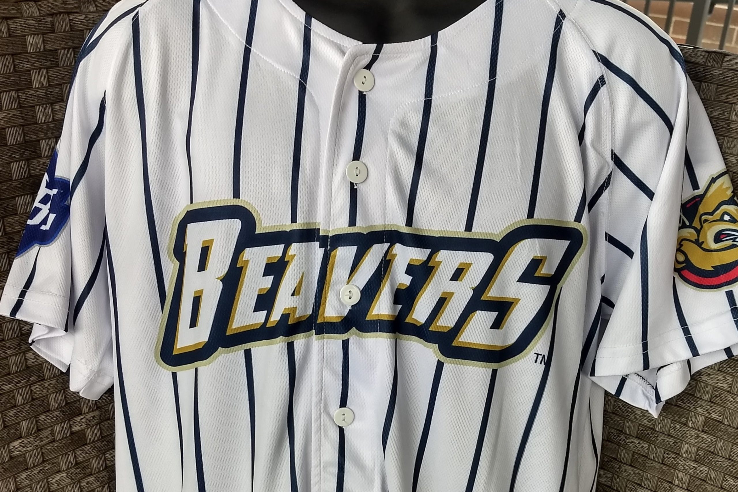 Birmingham Bloomfield Beavers white and navy full button-up pinstripe jersey closeup of wordmark on front