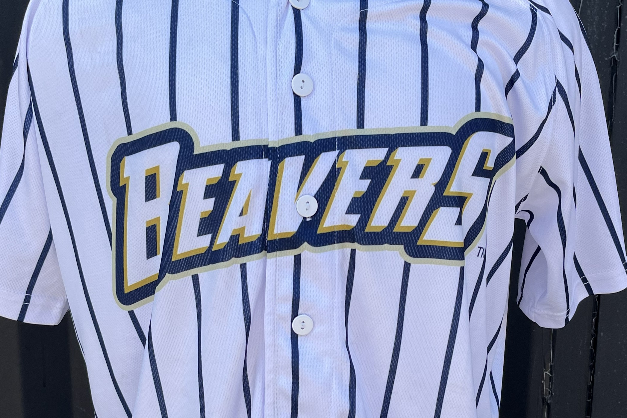 Birmingham Bloomfield Beavers white and navy full button-up pinstripe jersey closeup of wordmark on front