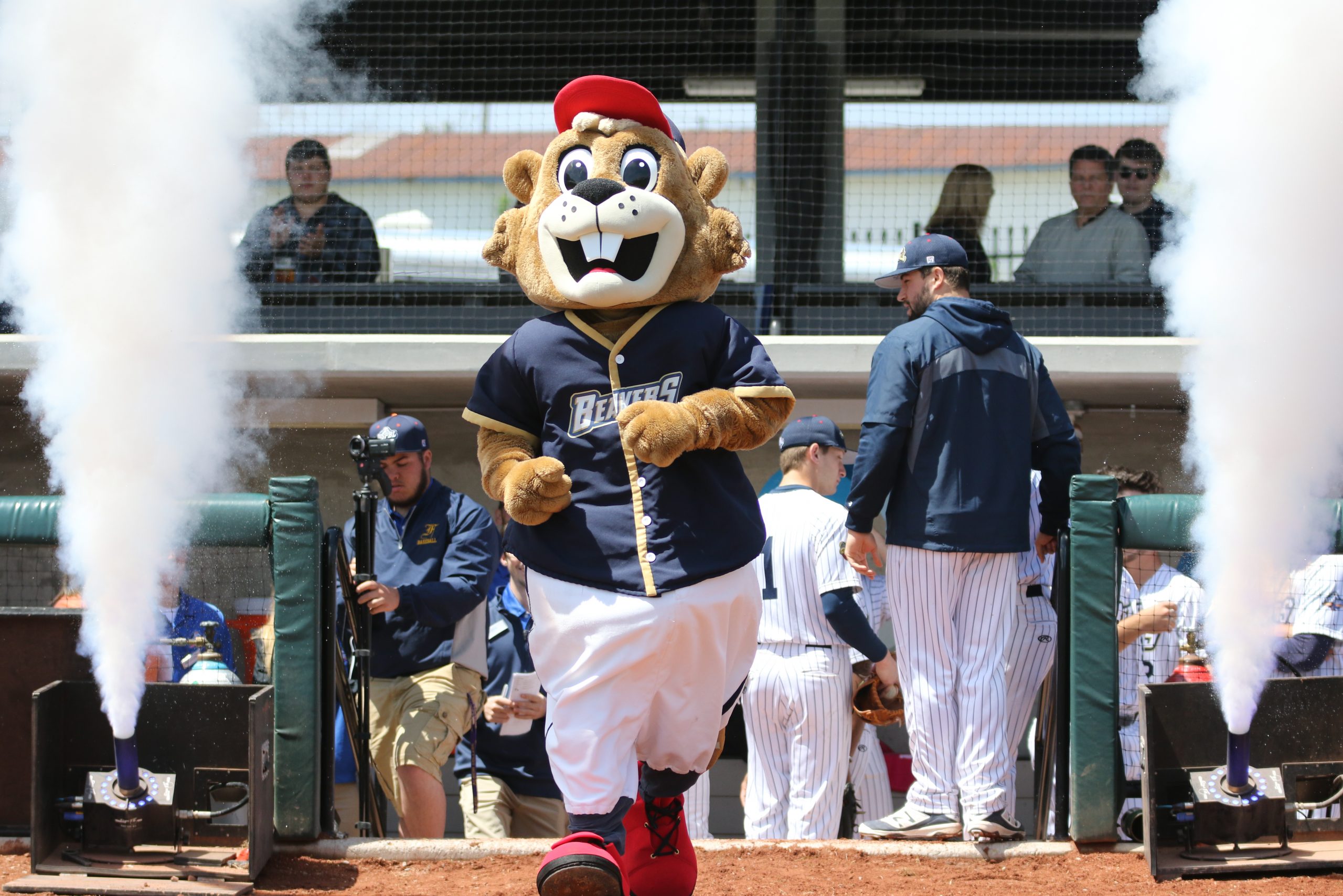 Baseball in 2020: United Shore Professional Baseball League (USBPL) -  Legends On Deck