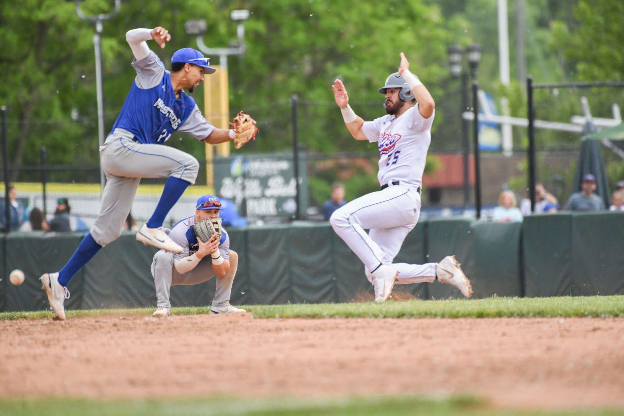 Leandy Castro - United Shore Professional Baseball League (USPBL)