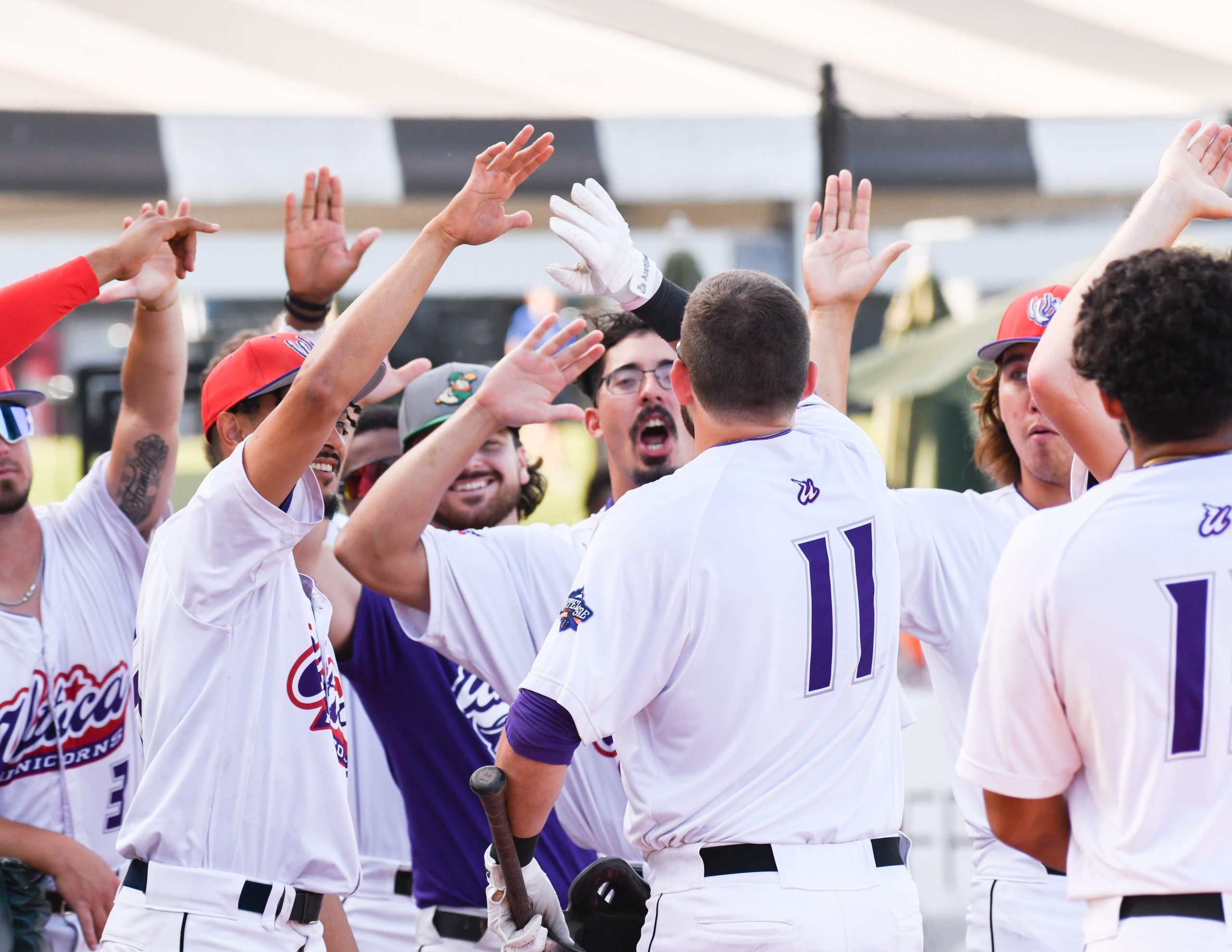 Leandy Castro - United Shore Professional Baseball League (USPBL)