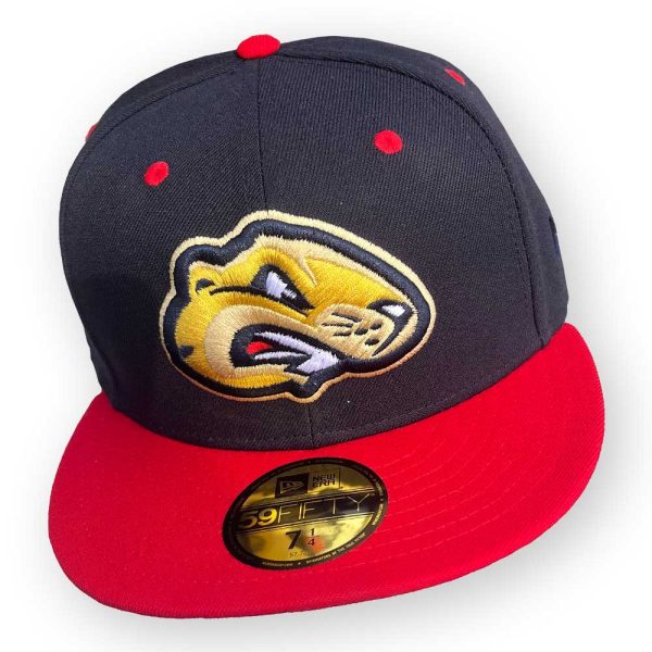 59FIFTY BB home