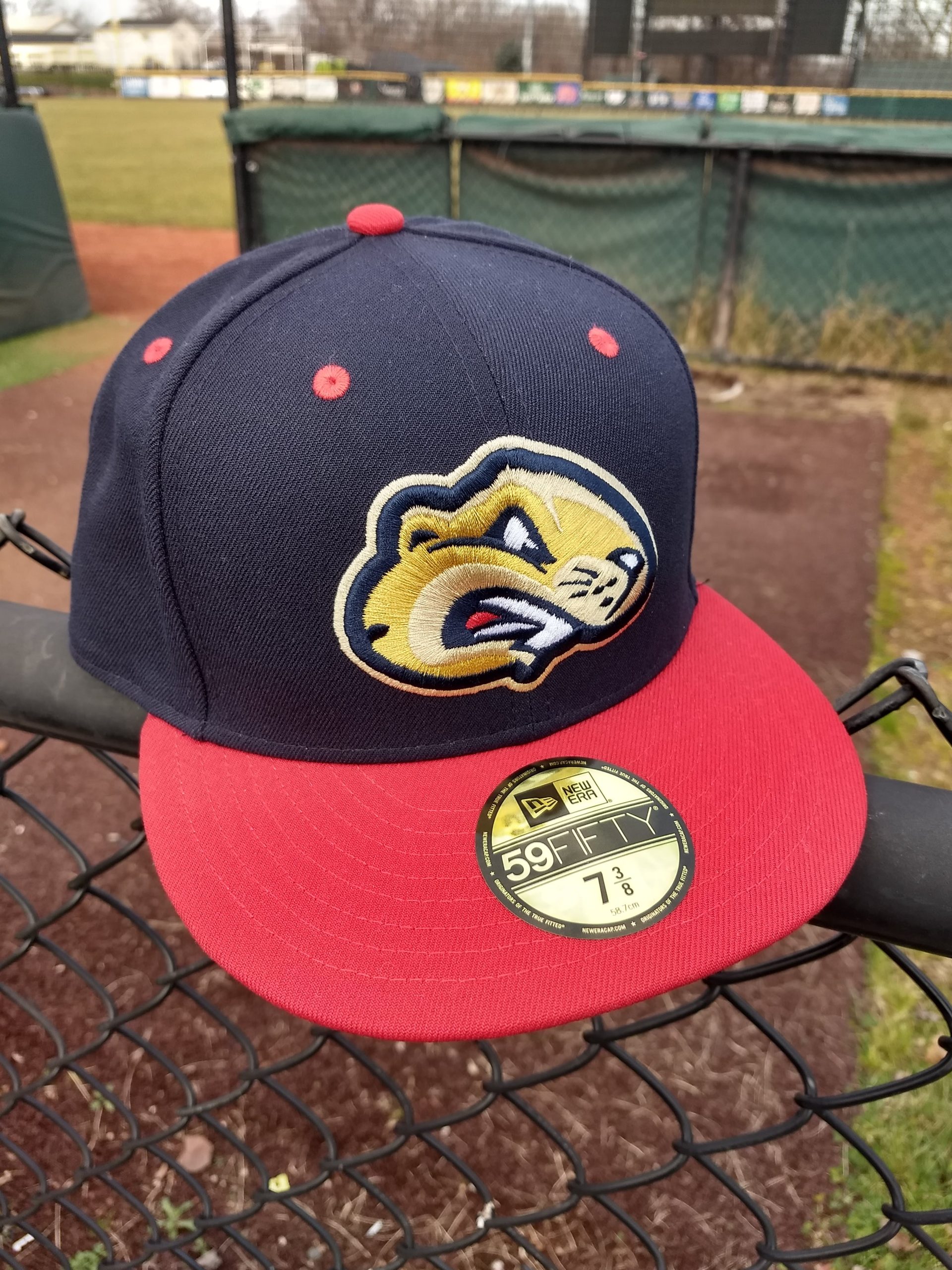 USPBL Birmingham Bloomfield Beavers New Era 59Fifty Home Game hat
