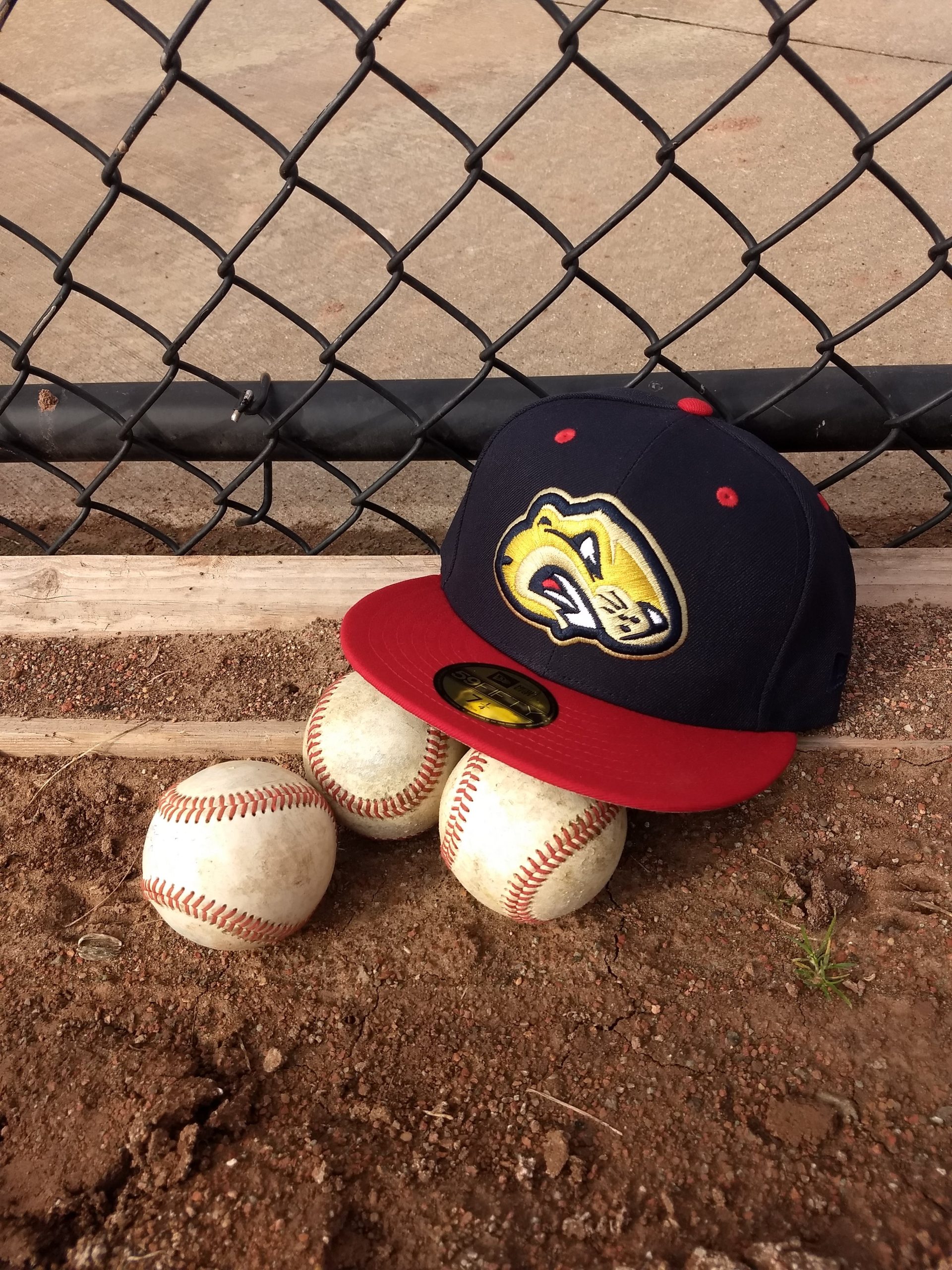 USPBL Birmingham Bloomfield Beavers New Era 59Fifty Home Game hat