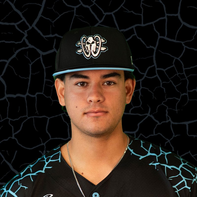Miguel Villafane