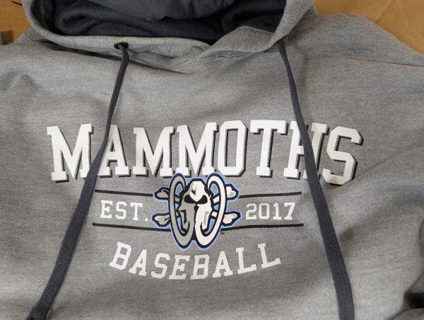 USPBL EAG Classic hoodie Woolly Mammoths grey gray