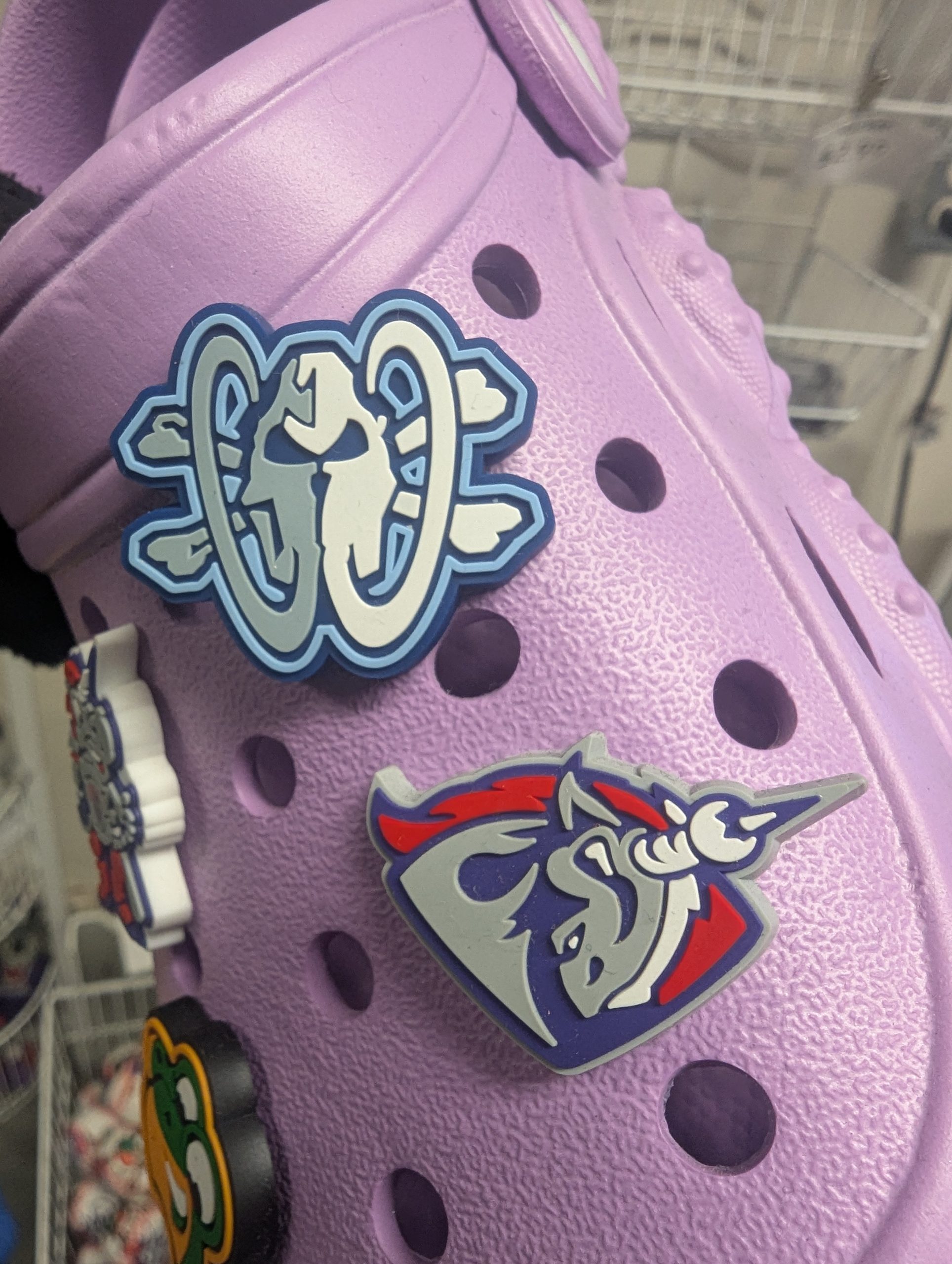 Woolly Mammoth skull and Utica Unicorns team mascot logo shoe charm for laces or clogs Crocs