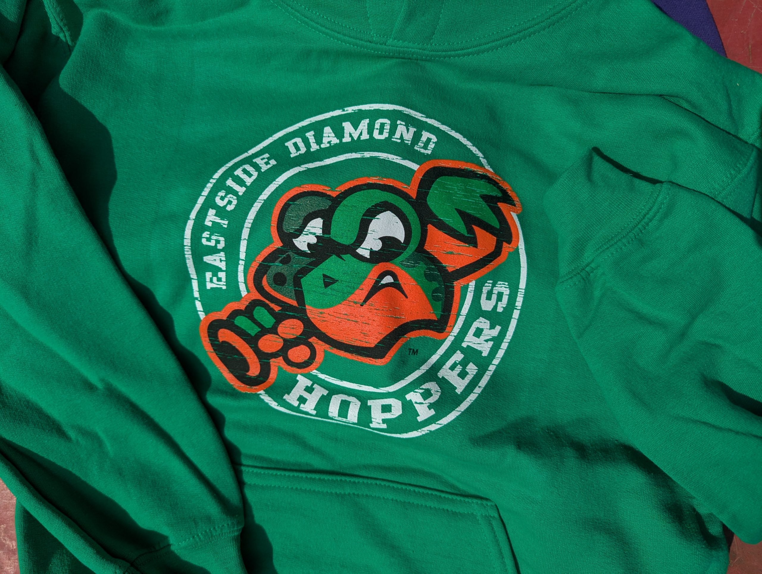close up of Diamond Hoppers youth Circle Hoodie
